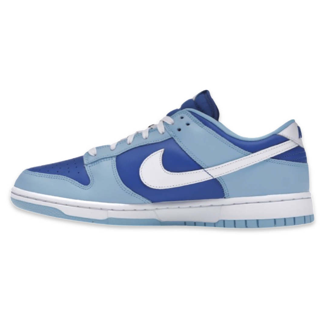 Nike Dunk Low Retro 'Argon'